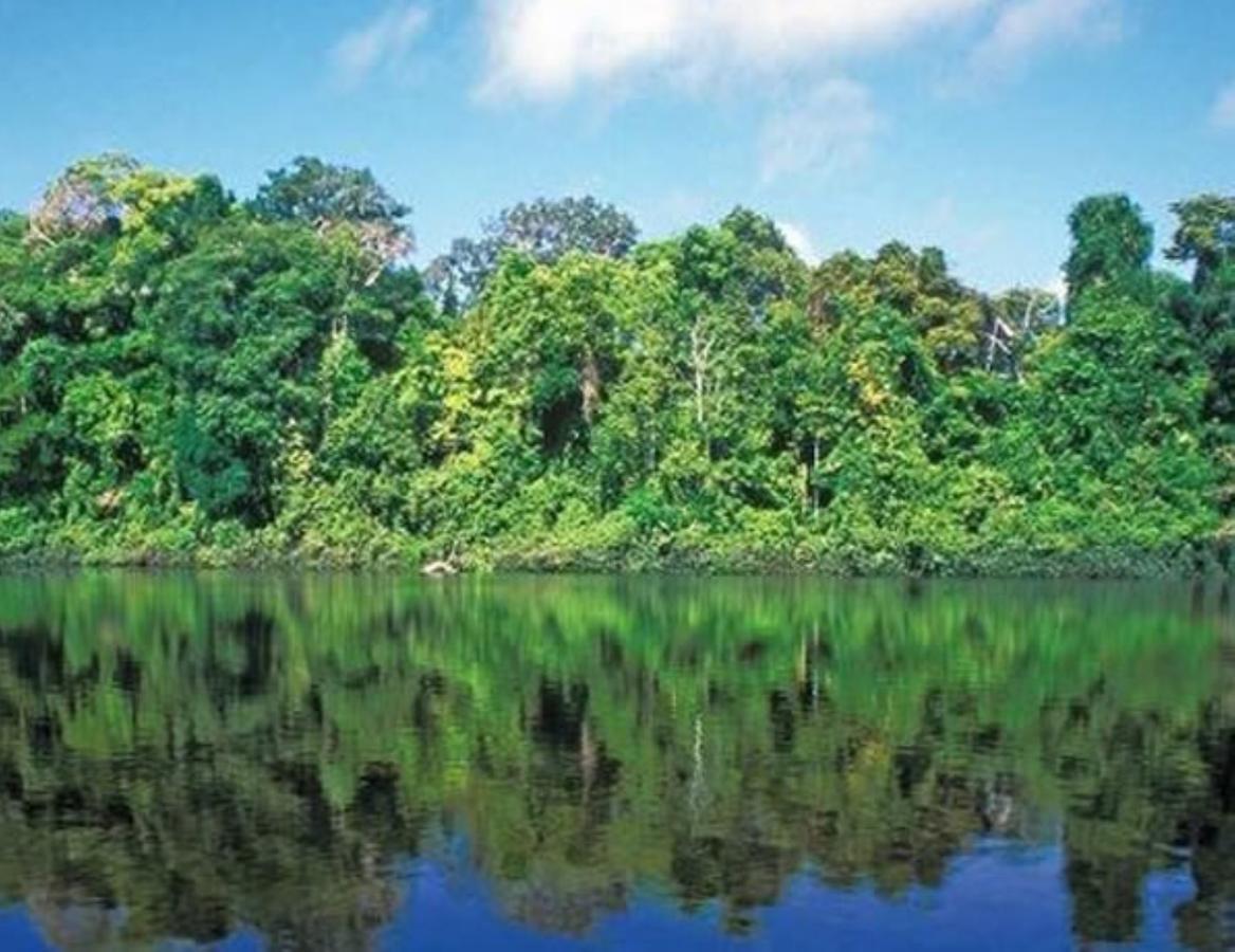 Hotel Vista Al Tortuguero Cariari  Eksteriør billede