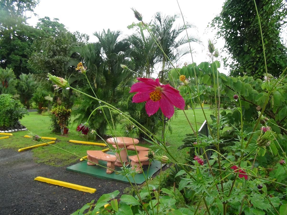 Hotel Vista Al Tortuguero Cariari  Værelse billede